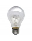 Лампа накаливания Б 230-60, 60 Вт, Е27, TDM , ,